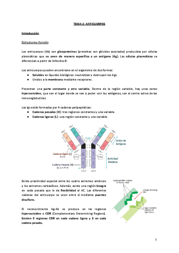 TEMA-2-ANTICUERPOS.pdf