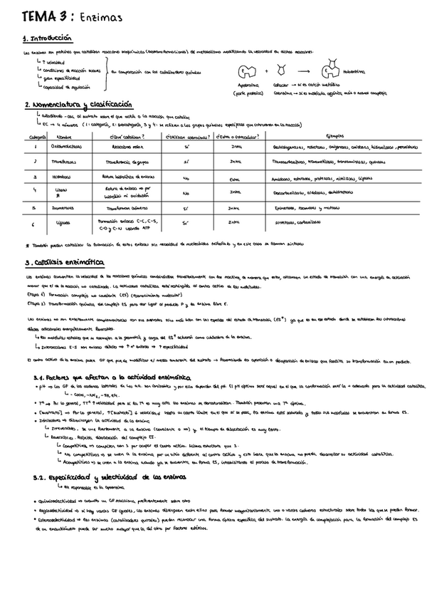 Tema-3-Enzimas-En-Quimica-Bioorganica.pdf