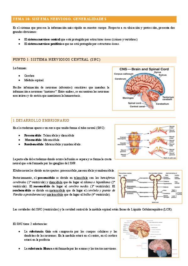 APUNTES-FISIOLOGIA-T.9-14.pdf