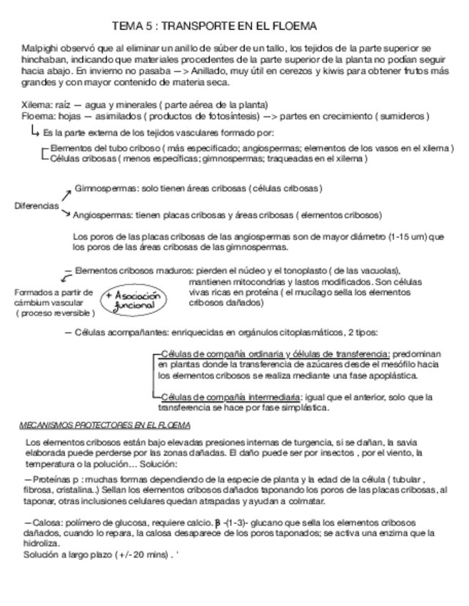 Tema-5.pdf