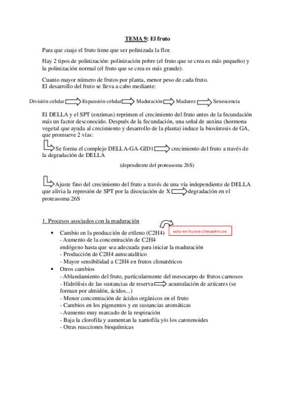 Tema-9.pdf