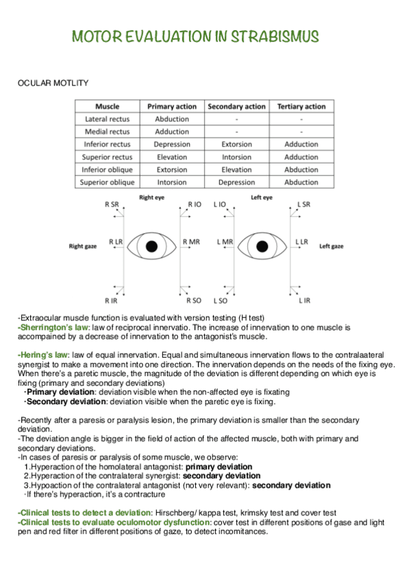 motor-evaluation-in-strabismus.pdf