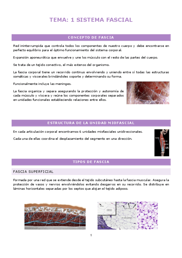 TEMA1-SISTEMA-FASCIAL.pdf