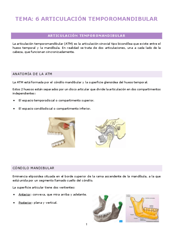 TEMA6-ARTICULACION-TEMPOROMANDIBULAR.pdf