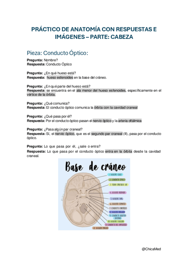 Examen-Practico-de-Anatomia-Cabeza-con-Respuestas-y-Imagenes.pdf