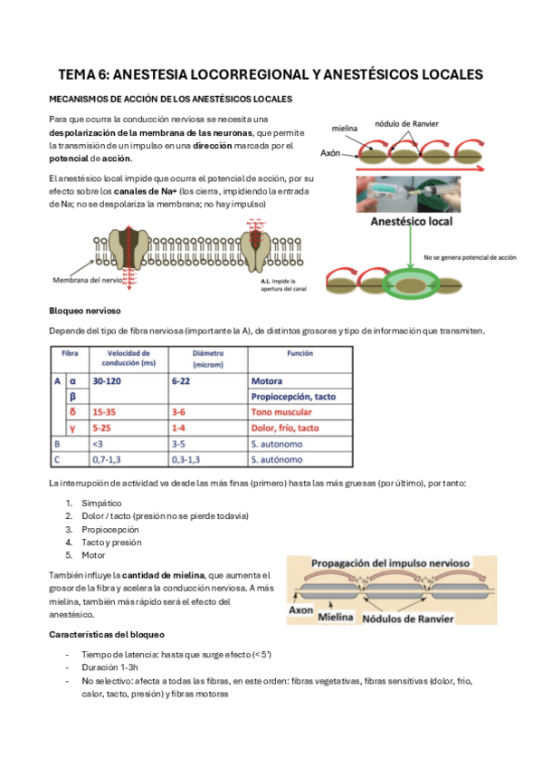 Anestesia-Tema-6.pdf