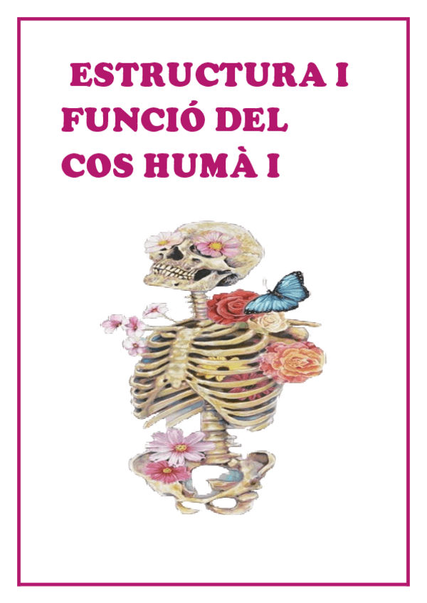 1R-TEMA-Introduccio-al-cos-huma.pdf