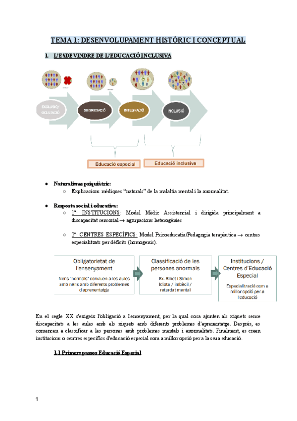 APUNTS-NECESSITATS-EDUCATIVES-ESPECIALS.pdf