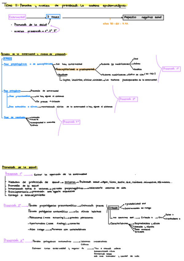 Esquemas-Temas-2o-Parcial-11-25-Y-27.pdf