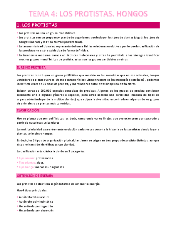 TEMA-4.pdf