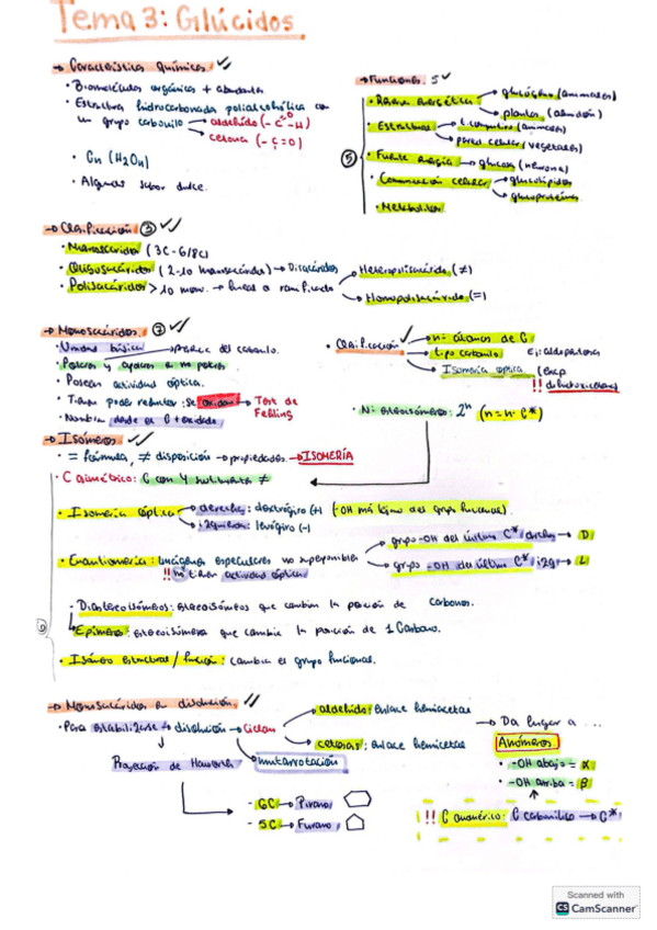 Tema-3-Glucidos.pdf