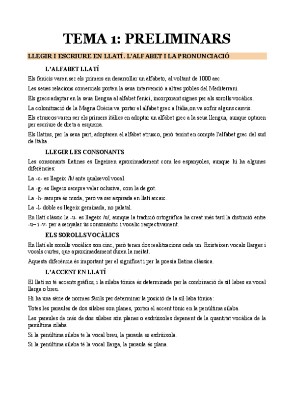LLATI-APUNTS.pdf
