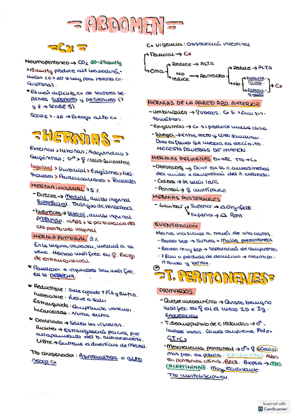 Abdomen.pdf