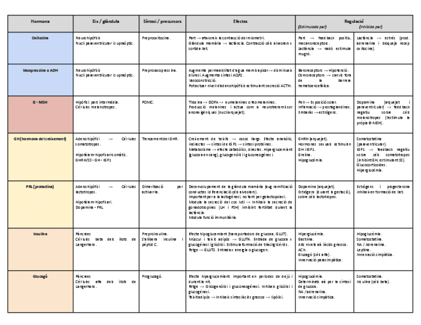 Taula-hormonesENDORCINO.pdf