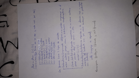 wuolah-free-20181111_230722 (1).jpg