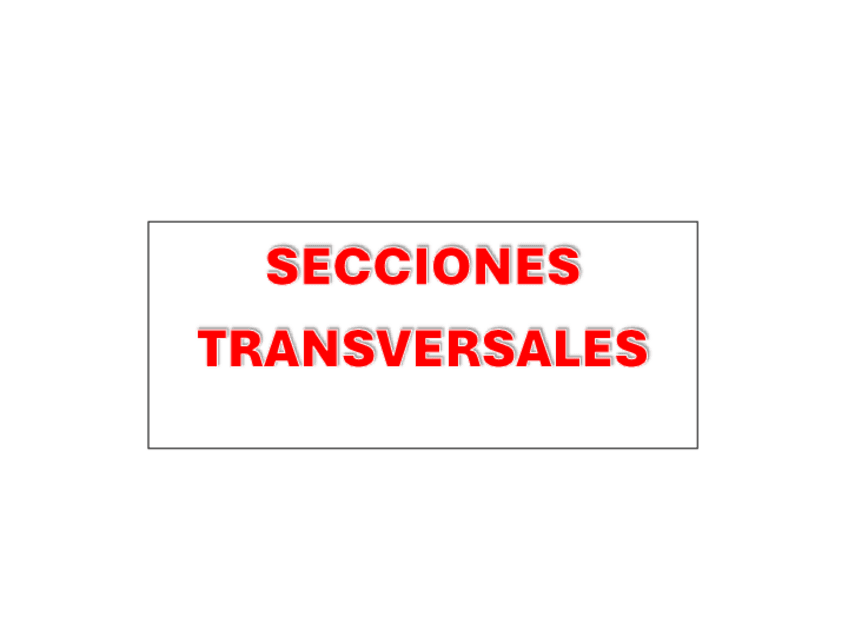 SECCIONES-TRANVERSALES.pdf