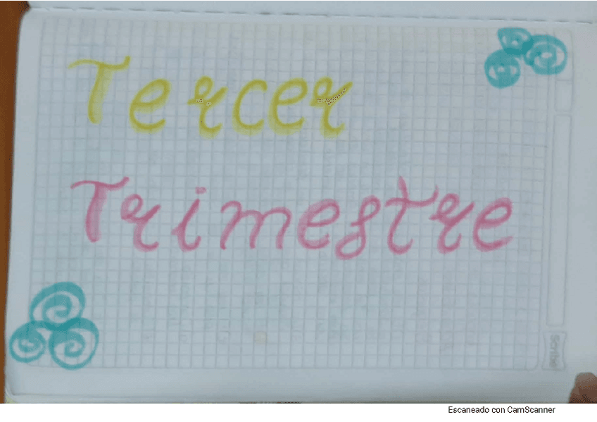 TAREA-22-SOCIALES-802.pdf