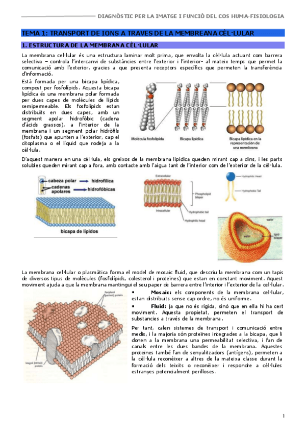 DHFCHIFISIOLOGIATEMA-1TRANSPORT-DE-IONS.pdf