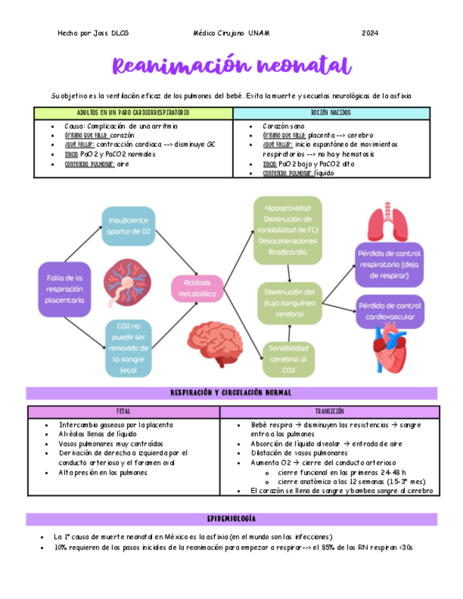 Lo-esencial-del-RENEO-8a-edicion.pdf