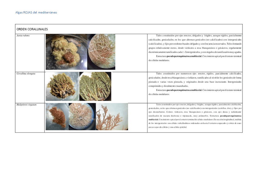 ALGAS-ROJAS-LAB-TABLAS.pdf