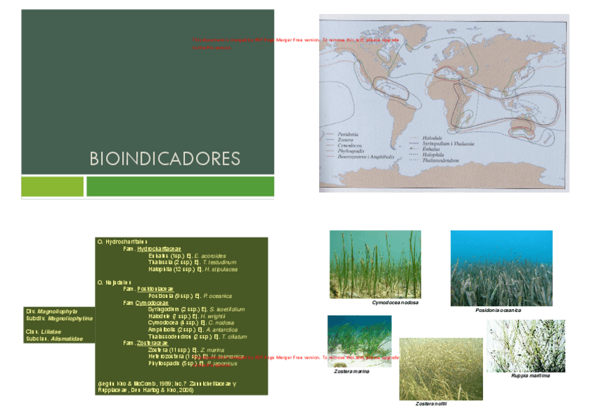 UD5.1.-Bases-para-el-diseno-de-indicadoresPageMerged.pdf