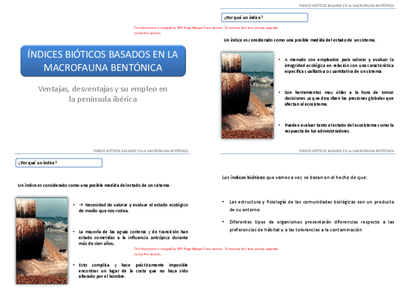 UD7.-Biondicadores-basados-en-macrofauna-bentonicaPageMerged.pdf