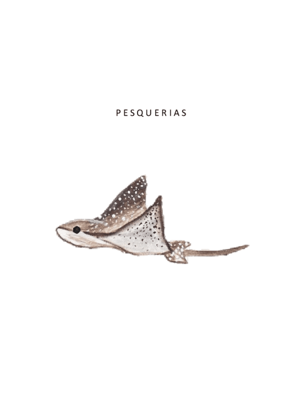 Pesquerias.pdf