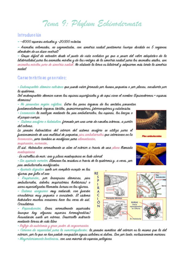 tema-9-zoologia.-pdf.pdf