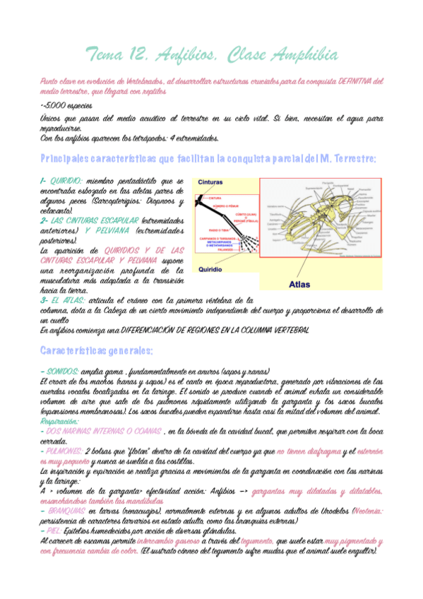 tema-12-Zoologia.-pdf.pdf