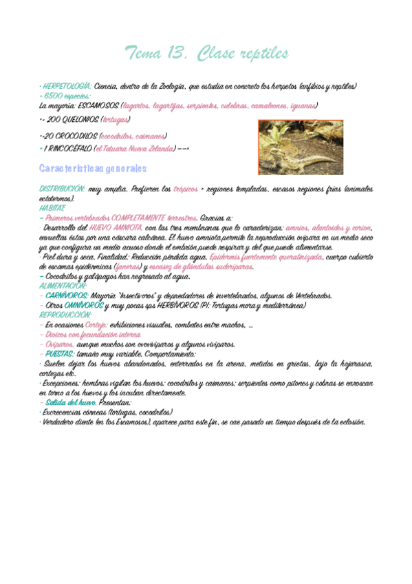 tema-13-Zoologia-pdf.pdf
