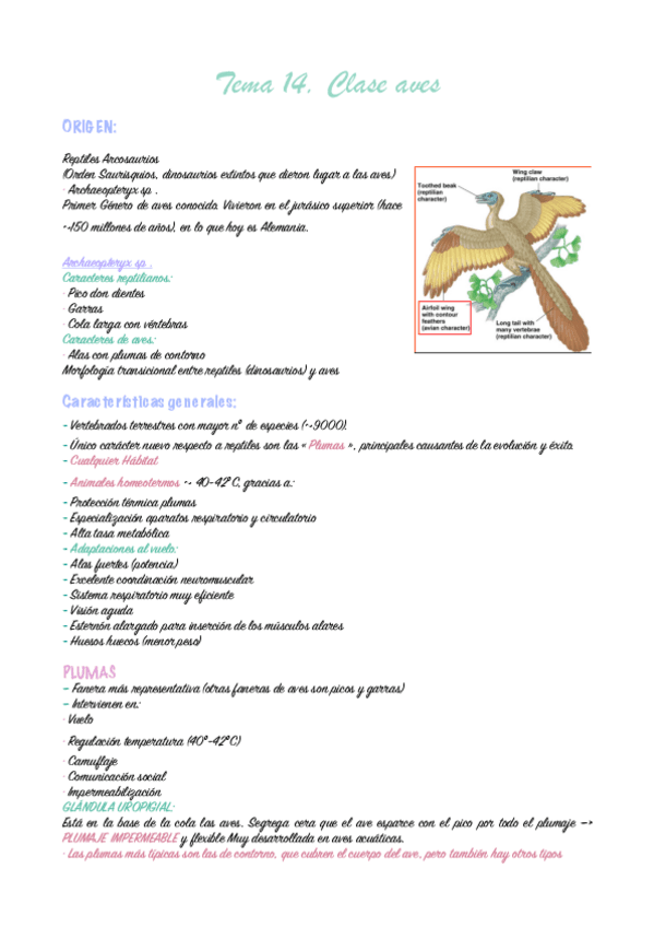 tema-14.-zoologia.-pdf.pdf