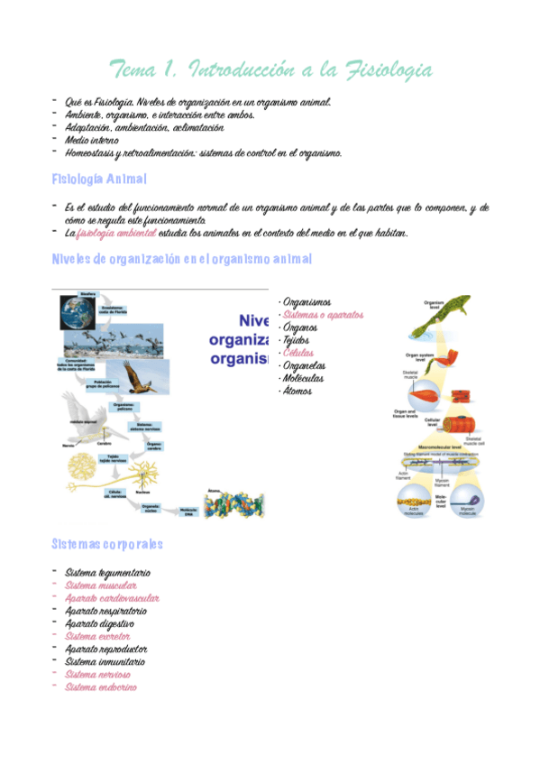 Tema-1-Fisiologia-Animal.-pdf.pdf