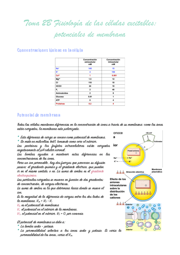 tema-2b-fisiologia-animal.-pdf.pdf