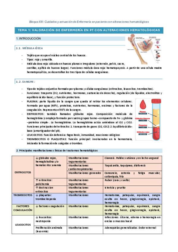 BLOQUE-13.pdf