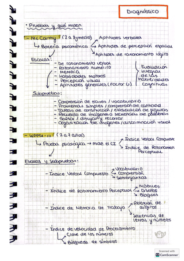 Pruebas-diagnostico-esquema.pdf