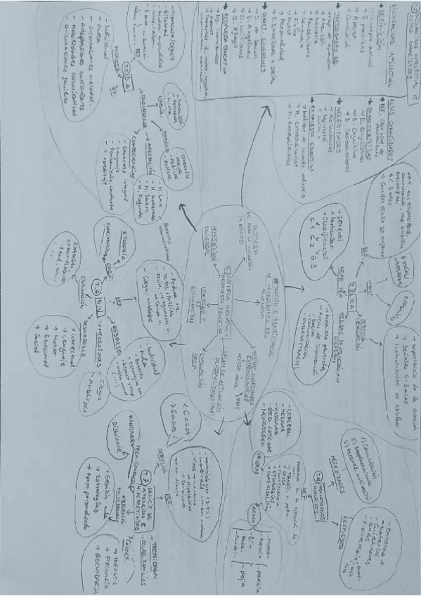 Esquema-TODOS-LOS-TEMAS-muy-resumido.pdf