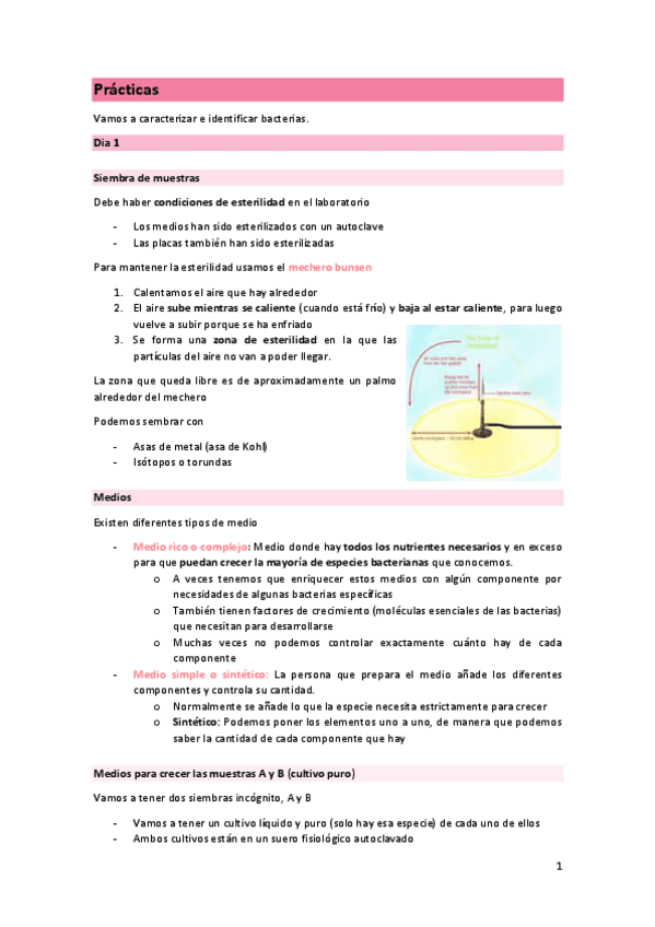 Practiques-micro.pdf