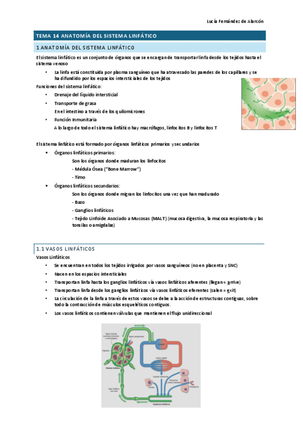 tema-14-RESCAR.pdf