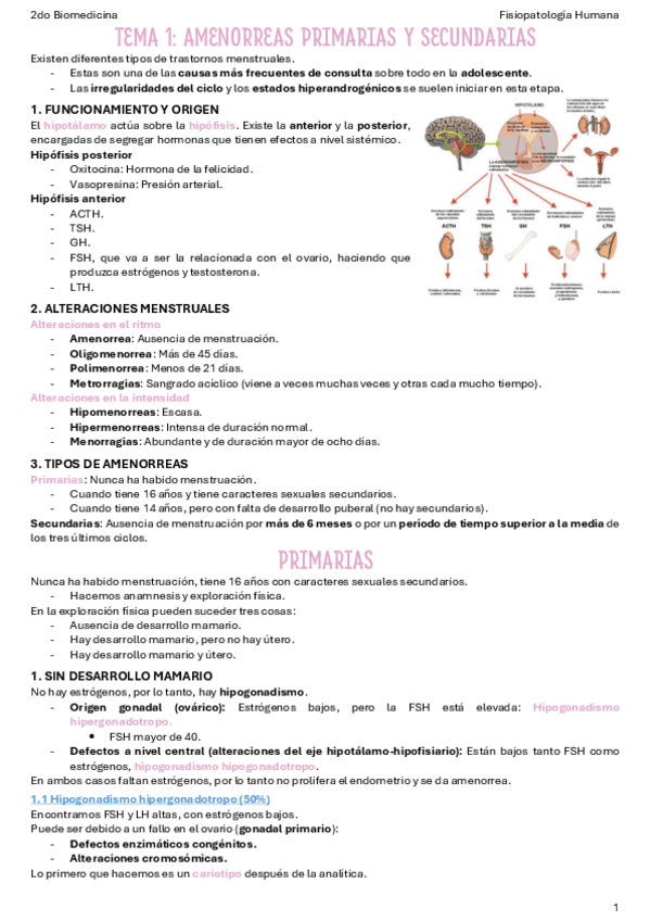 T2-Amenorreas-primarias-y-secundarias.pdf