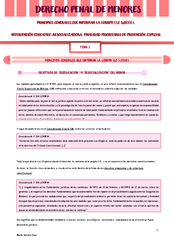 TEMA-2-Derecho-Penal-Menores.pdf