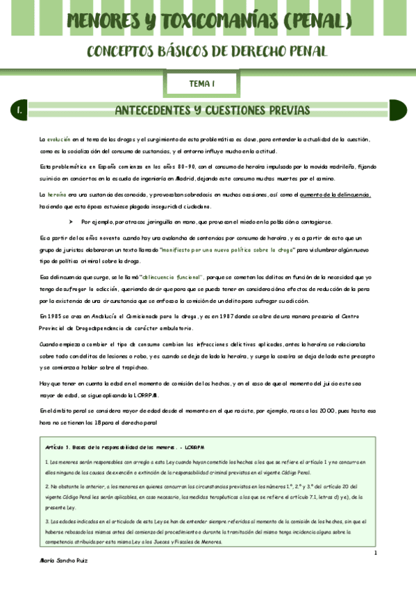 MENORES-Y-TOXICOMANIAS-PENAL-Nuria-C.pdf