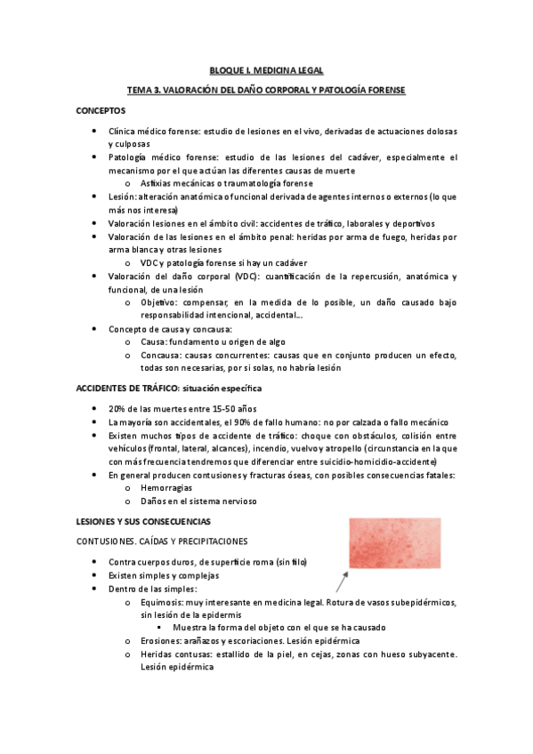 3.-VALORACION-DEL-DANO-CORPORAL.pdf