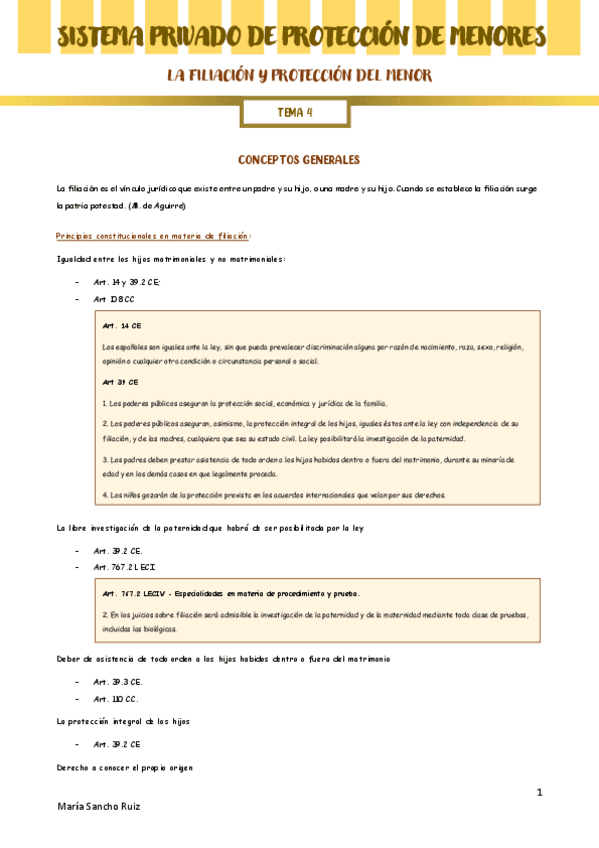 Tema-4-Sistema-privado.pdf