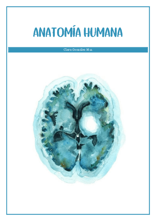 ANATOMIA-HUMANA-APUNTES.pdf