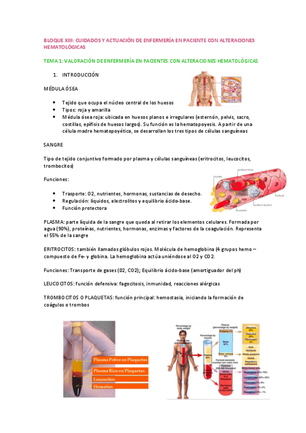 BLOQUE-XIII-HEMATOLOGIA.pdf
