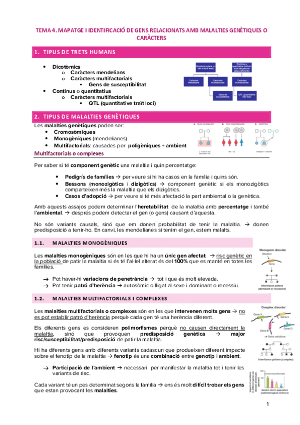 TEMA-4.-MAPATGE-I-IDENTIFICACIO-DE-GENS.pdf