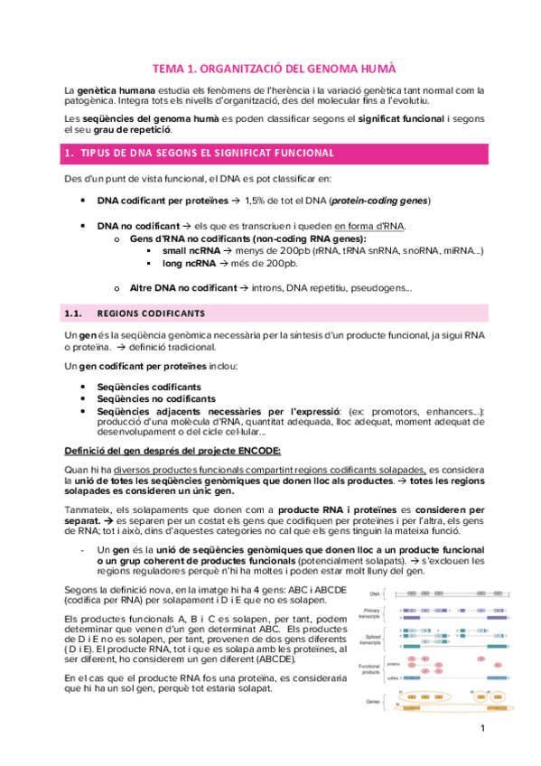 TEMA-1.-ORGANITZACIO-DEL-GENOMA-HUMA.pdf