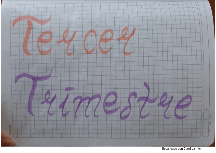 TAREA-27-FISICA-802.pdf