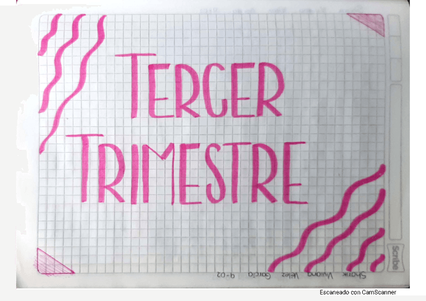 tarea-81-tecnologia-902.pdf