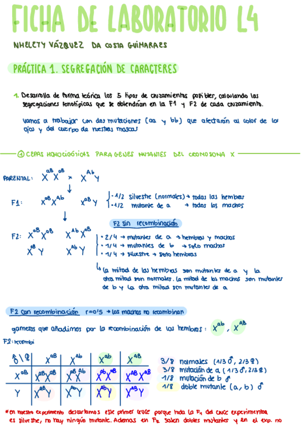 Memoria-de-Laboratorio.pdf